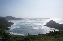 ワンダー体験記／湾